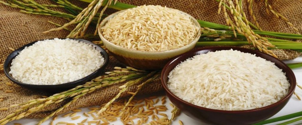 فروش عمده شلتوک برنج