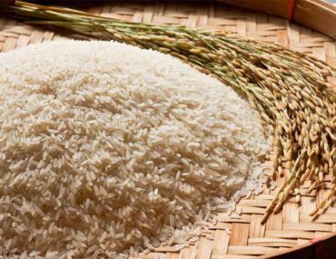 پخش عمده سبوس برنج